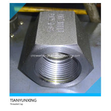 A105n 3000lb Forged Carbon Steel Threaded/Thread Cap